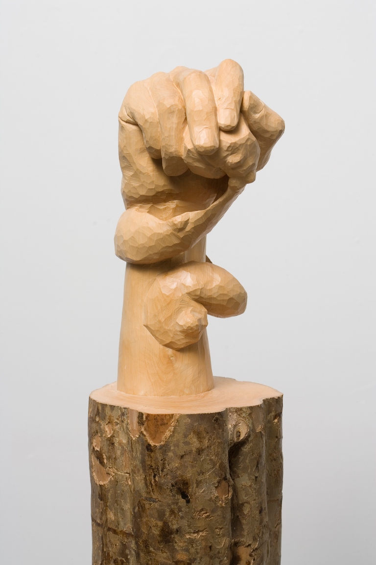 Art essay ricky swallow and patricia piccinini image